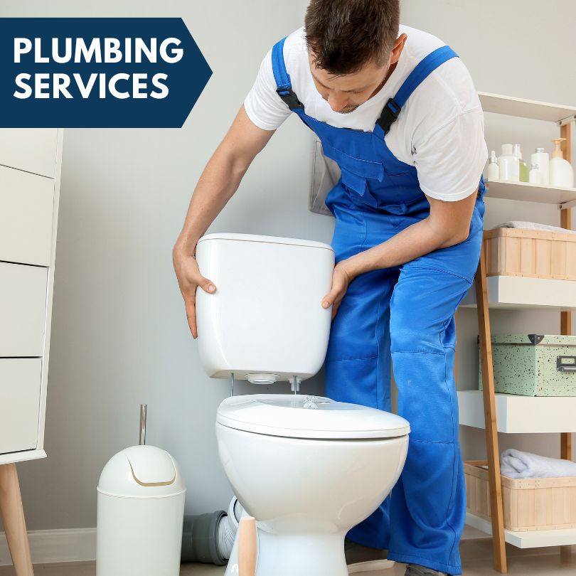 Plumbing Company in Lumber City, GA